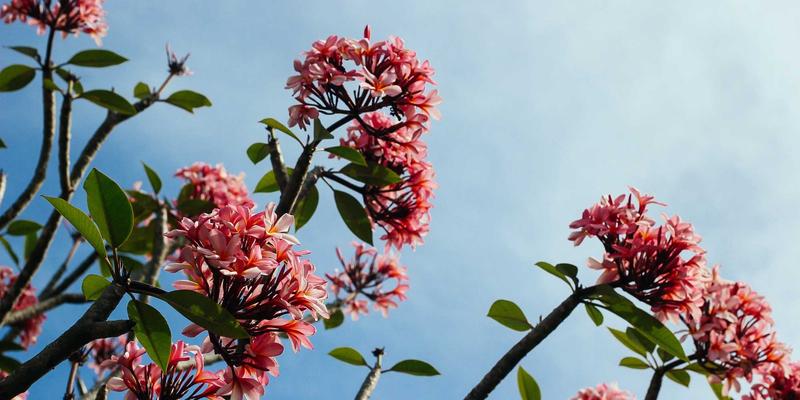 无锡模具产业标杆：天翔模具如何以冲压模具技术领航智造升级