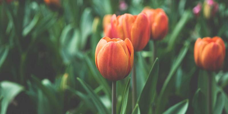 无锡模具企业如何通过构建ISO质量管理体系提升客户信任——聚焦机械加工与压铸模具制造