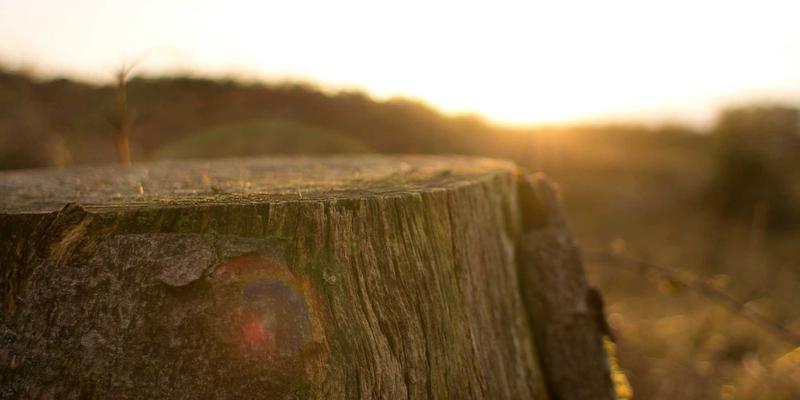 无锡模具制造的核心技巧：从天翔模具看压铸模具的精进之道