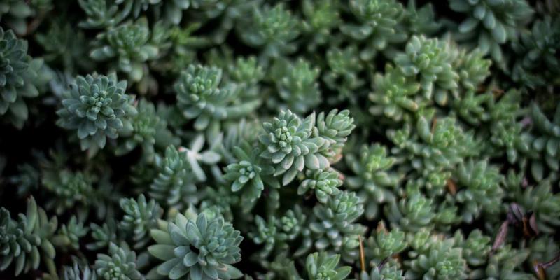 无锡模具制造腾飞之翼：深度解析人才培养与CNC加工技能提升路径