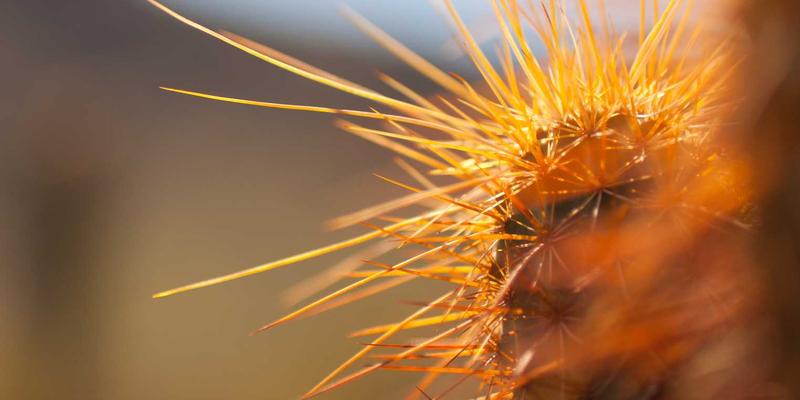 无锡模具：精密制造背后的产业基石，冲压模具与天翔模具的卓越典范