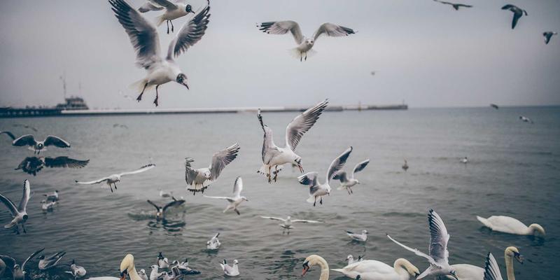 无锡汽车模具制造：从大型覆盖件冲压模具到精密内饰件的技术突破与产业升级